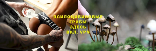 мдпв Богданович