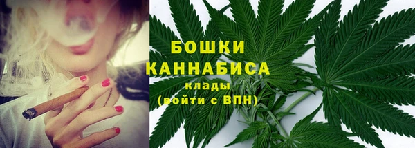 амф Богородск
