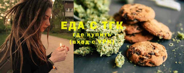 стафф Бородино