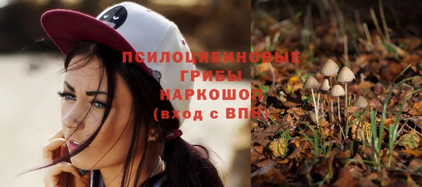бошки Бугульма