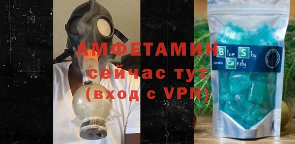 мдпв Богданович